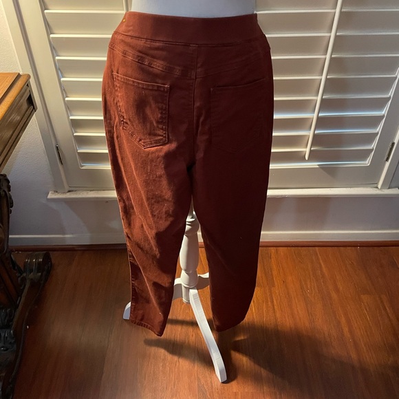 Sound Style Lucy Pull On legging pant petite small platinum stretch orange rust - Picture 7 of 16